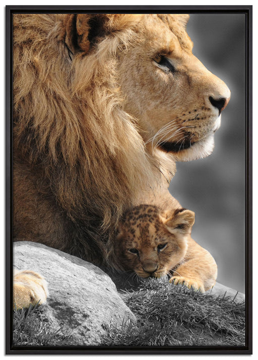 Löwe mit Löwenbaby auf Leinwandbild gerahmt Größe 100x70
