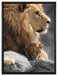 Löwe mit Löwenbaby auf Leinwandbild gerahmt Größe 80x60