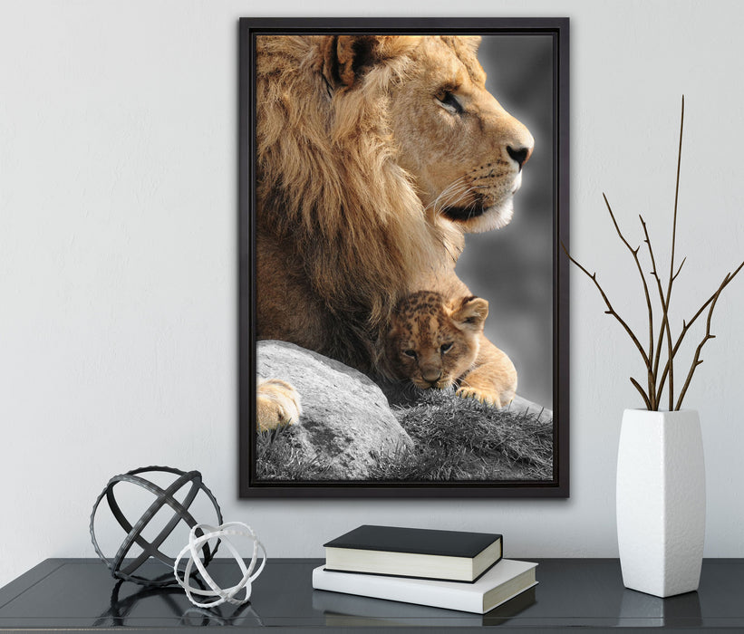 Löwe mit Löwenbaby auf Leinwandbild gerahmt mit Kirschblüten