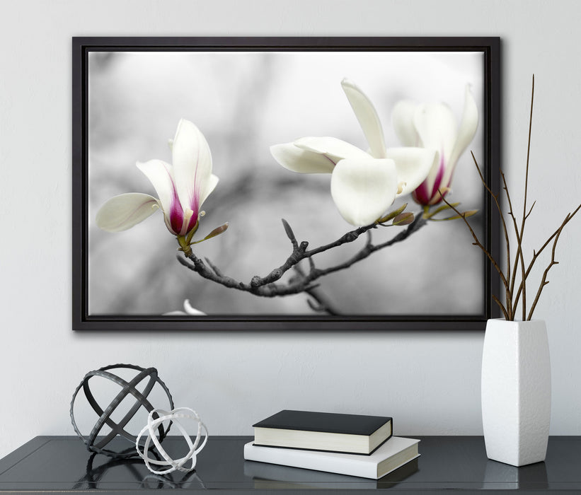 Magnolienblüten auf Leinwandbild gerahmt mit Kirschblüten