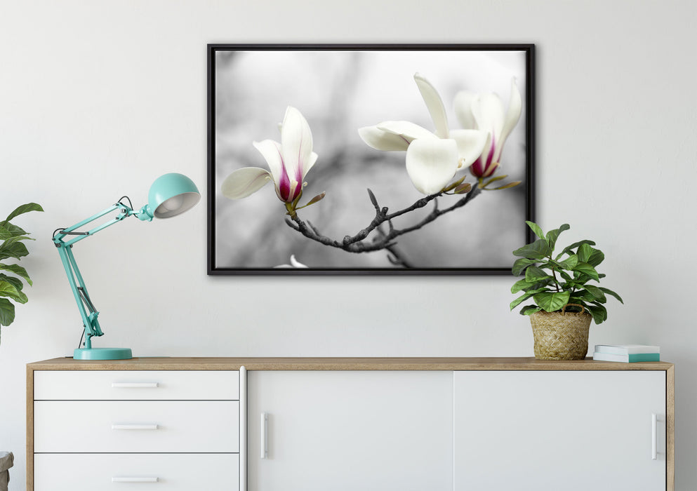 Magnolienblüten auf Leinwandbild gerahmt verschiedene Größen im Wohnzimmer