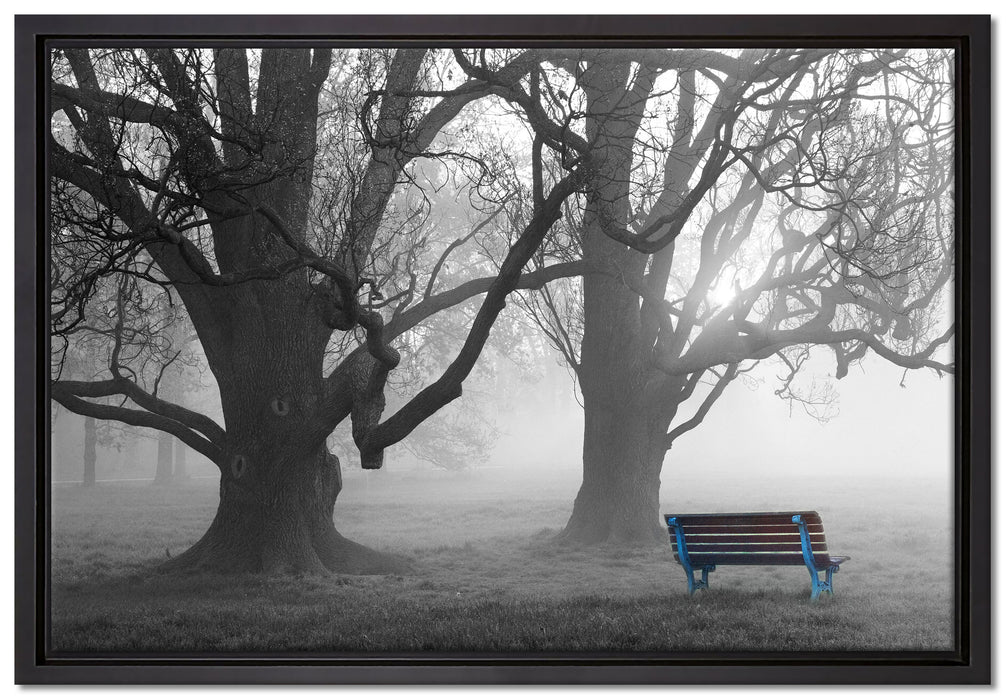 Einsame Bank im Nebel auf Leinwandbild gerahmt Größe 60x40