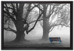 Einsame Bank im Nebel auf Leinwandbild gerahmt Größe 60x40