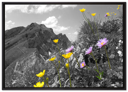 Blumenwiese im Frühling auf Leinwandbild gerahmt Größe 100x70