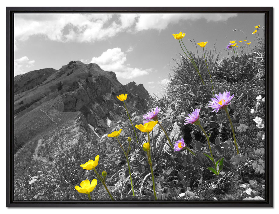 Blumenwiese im Frühling auf Leinwandbild gerahmt Größe 80x60