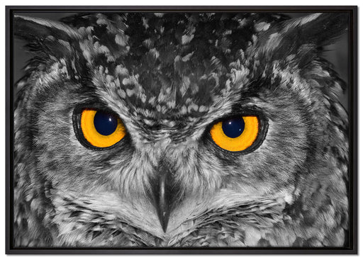 Eule mit Augen auf Leinwandbild gerahmt Größe 100x70