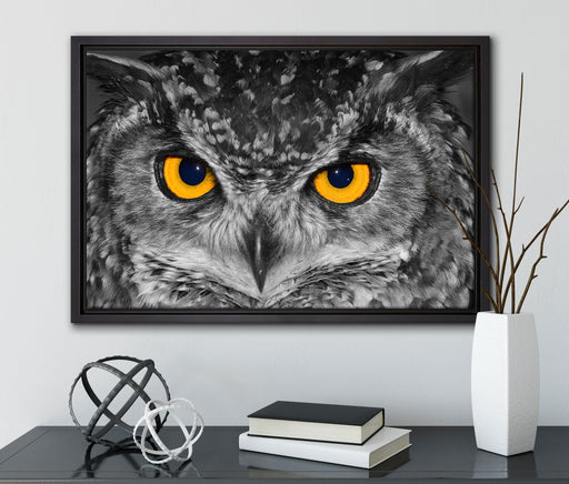 Eule mit Augen auf Leinwandbild gerahmt mit Kirschblüten
