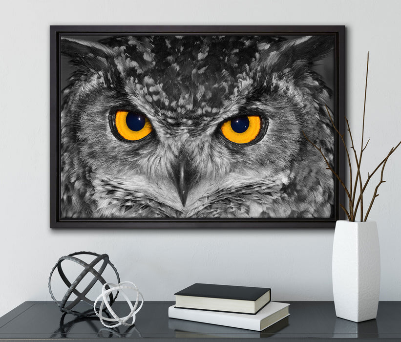 Eule mit Augen auf Leinwandbild gerahmt mit Kirschblüten