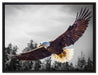 großer fliegender Adler auf Leinwandbild gerahmt Größe 80x60