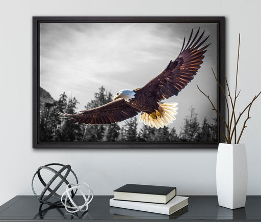 großer fliegender Adler auf Leinwandbild gerahmt mit Kirschblüten
