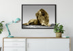majestätischer Löwe auf Fels auf Leinwandbild gerahmt verschiedene Größen im Wohnzimmer