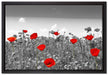 schöner rot leuchtender Mohn auf Leinwandbild gerahmt Größe 60x40