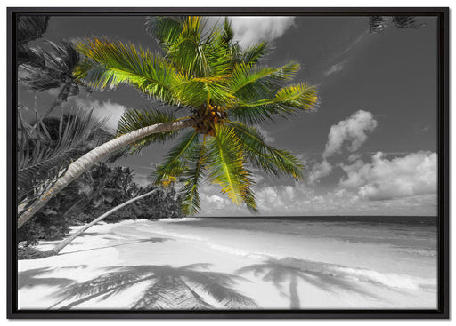 riesige Palme über Strand auf Leinwandbild gerahmt Größe 100x70