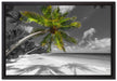 riesige Palme über Strand auf Leinwandbild gerahmt Größe 60x40