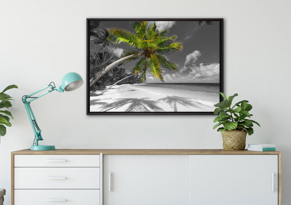 riesige Palme über Strand auf Leinwandbild gerahmt verschiedene Größen im Wohnzimmer