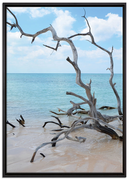 Strand Meer Havanna Kuba auf Leinwandbild gerahmt Größe 100x70