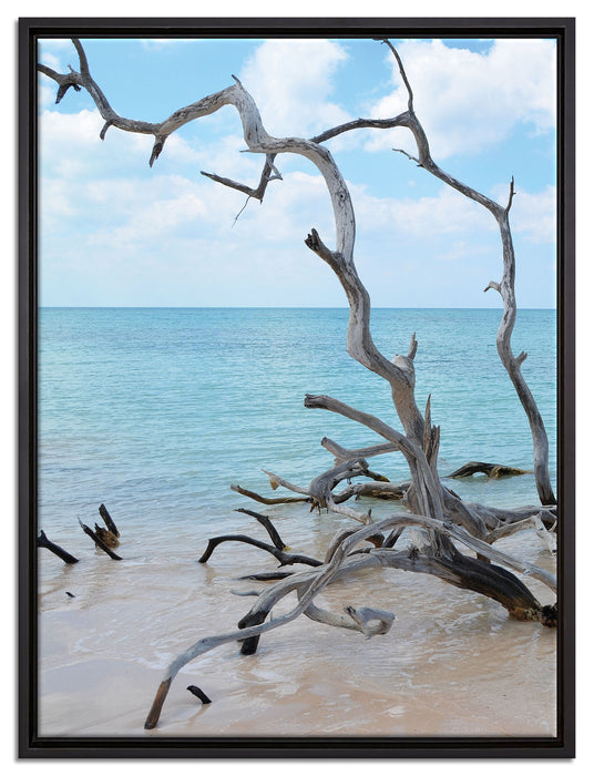 Strand Meer Havanna Kuba auf Leinwandbild gerahmt Größe 80x60