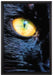 Schwarze Katze orangene Augen auf Leinwandbild gerahmt Größe 60x40