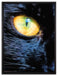 Schwarze Katze orangene Augen auf Leinwandbild gerahmt Größe 80x60