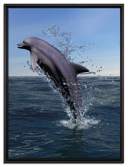 Delphin sprint im Meer auf Leinwandbild gerahmt Größe 80x60