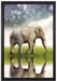 Elefant mit Sternenhimmel auf Leinwandbild gerahmt Größe 60x40