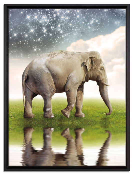 Elefant mit Sternenhimmel auf Leinwandbild gerahmt Größe 80x60
