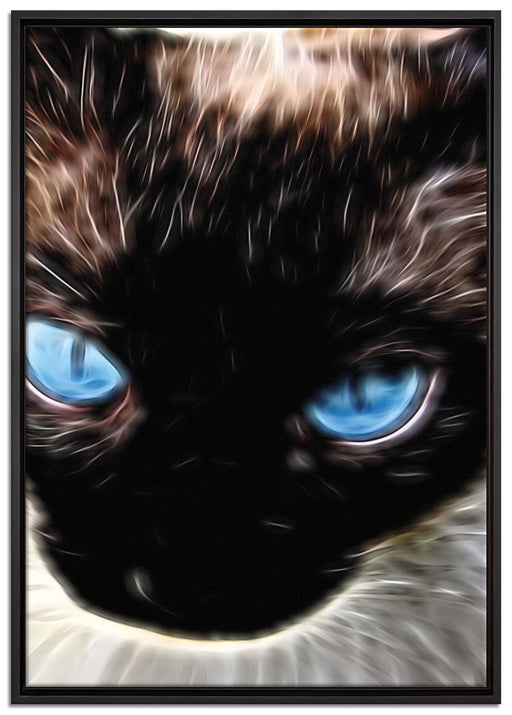 Siamkatze mit Augen auf Leinwandbild gerahmt Größe 100x70