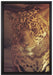 Wunderschöner Leopard auf Leinwandbild gerahmt Größe 60x40