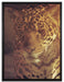 Wunderschöner Leopard auf Leinwandbild gerahmt Größe 80x60