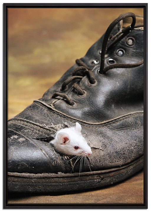 Maus im schwarzen Schuh auf Leinwandbild gerahmt Größe 100x70