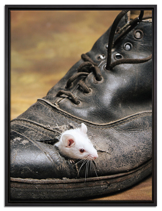 Maus im schwarzen Schuh auf Leinwandbild gerahmt Größe 80x60