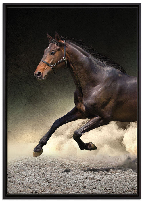 Dark Schwarzer Hengst auf Leinwandbild gerahmt Größe 100x70