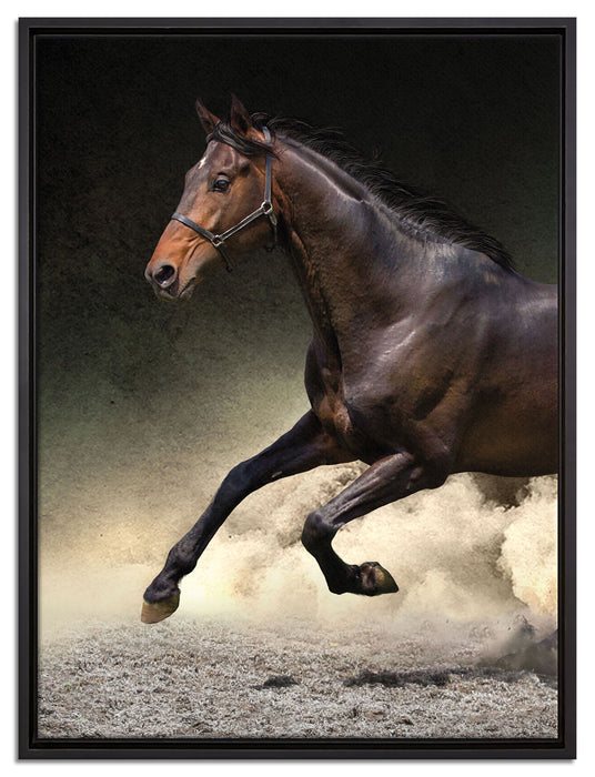 Dark Schwarzer Hengst auf Leinwandbild gerahmt Größe 80x60
