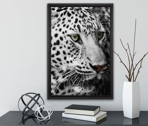 Weißer Leopard auf Leinwandbild gerahmt mit Kirschblüten