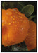 Wassertropfen auf Orangen auf Leinwandbild gerahmt Größe 100x70