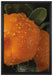 Wassertropfen auf Orangen auf Leinwandbild gerahmt Größe 60x40