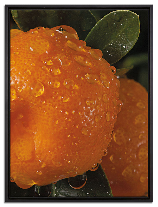 Wassertropfen auf Orangen auf Leinwandbild gerahmt Größe 80x60