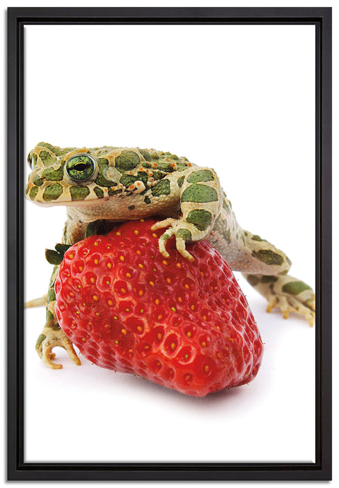 Erdbeere mit Frosch auf Leinwandbild gerahmt Größe 60x40