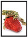 Erdbeere mit Frosch auf Leinwandbild gerahmt Größe 80x60