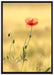 Blumen im Feld Tulpen auf Leinwandbild gerahmt Größe 100x70