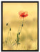 Blumen im Feld Tulpen auf Leinwandbild gerahmt Größe 80x60