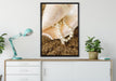 Muschel mit Perle Sand Strand auf Leinwandbild gerahmt verschiedene Größen im Wohnzimmer
