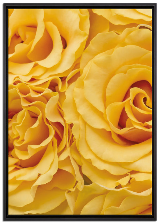 Blumen Rosen auf Leinwandbild gerahmt Größe 100x70