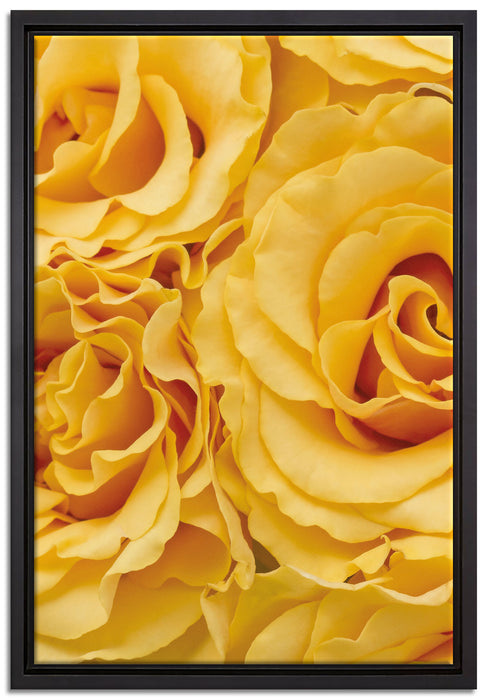 Blumen Rosen auf Leinwandbild gerahmt Größe 60x40
