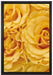 Blumen Rosen auf Leinwandbild gerahmt Größe 60x40