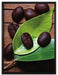Kaffeebohnen Kaffee Mahlen auf Leinwandbild gerahmt Größe 80x60