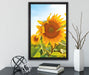 Sonnenblumenfeld SonnenblumeSonne auf Leinwandbild gerahmt mit Kirschblüten