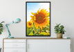 Sonnenblumenfeld SonnenblumeSonne auf Leinwandbild gerahmt verschiedene Größen im Wohnzimmer