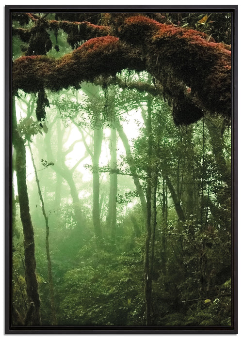 Regenwald Moos Lianen See auf Leinwandbild gerahmt Größe 100x70