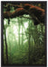 Regenwald Moos Lianen See auf Leinwandbild gerahmt Größe 60x40